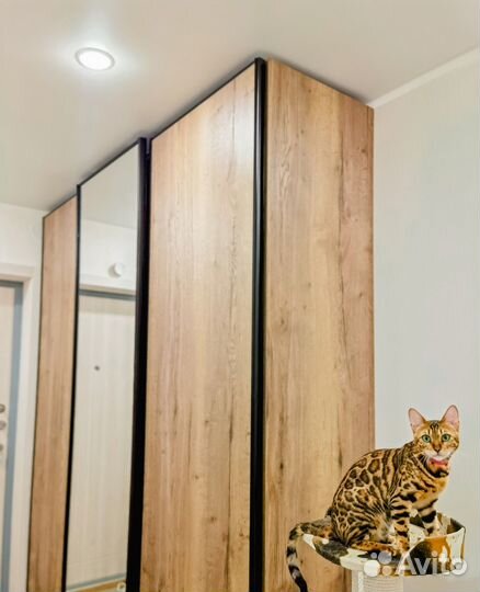 Распашной шкаф на заказ. Производство