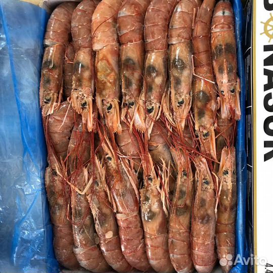 Креветка Аргентинская сырая с головой