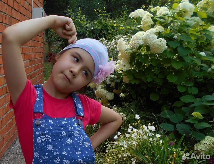 Гортензии древовидная Анабель