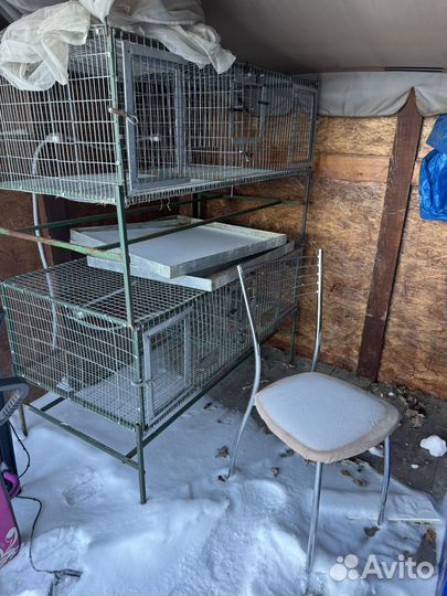 Клетки для кроликов бу
