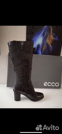 Сапоги ecco