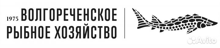 Оператор коптильной установки