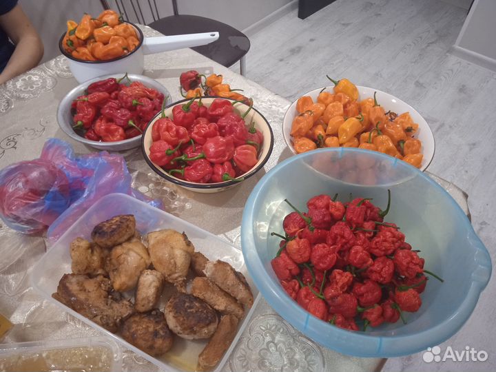 Каролина Рипер и не только. Перец и семена