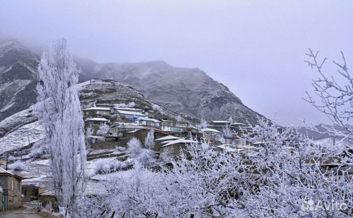 Тур путевка Новый год на Каспии на 3 н от 3-4*