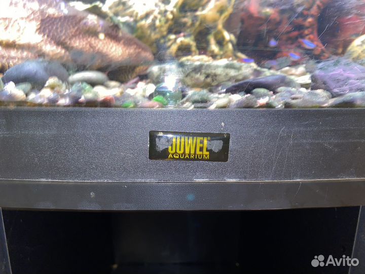 Аквариум с тумбой juwel