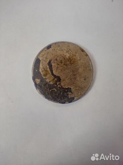 Нумизматика монеты