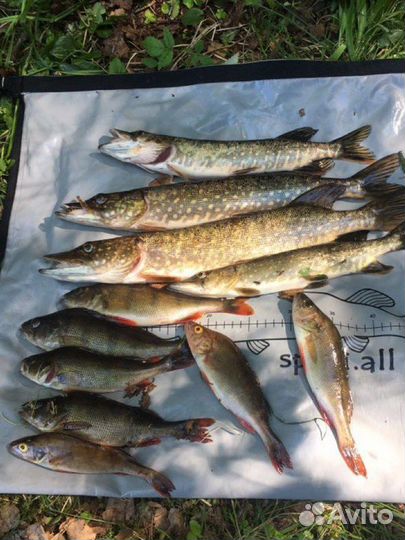 Сумка для рыбы рыбалки полностью герметична