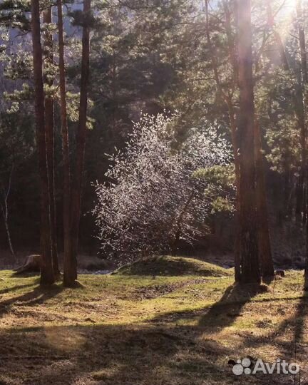 Зеркальный фотоаппарат canon 600d