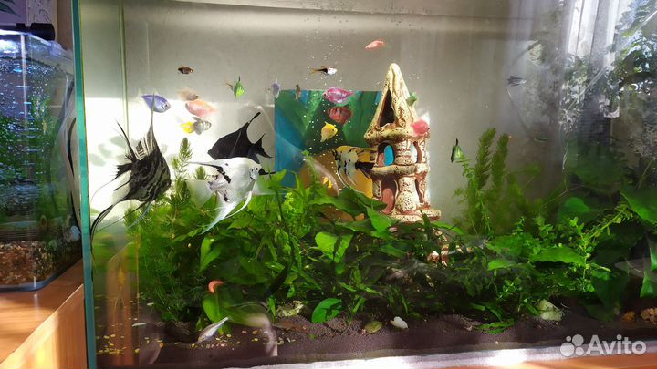 Аквариум