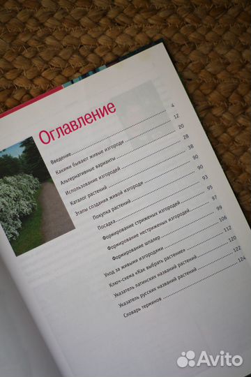 Сапелин. Живые изгороди