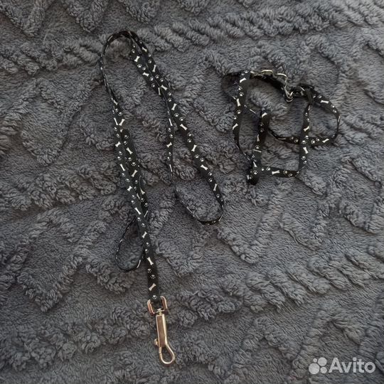 Шлейка и поводок для маленькой собаки