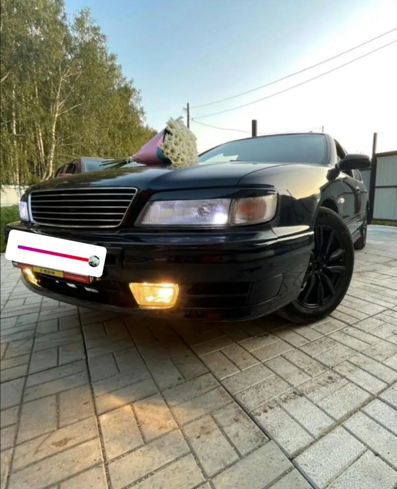 Nissan Maxima: фото владельца