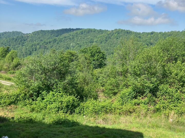 Участок 35 сот. (СНТ, ДНП)