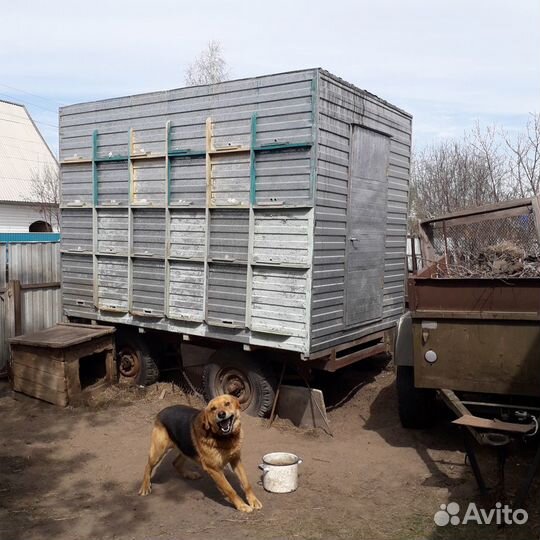 Павильон для пчел