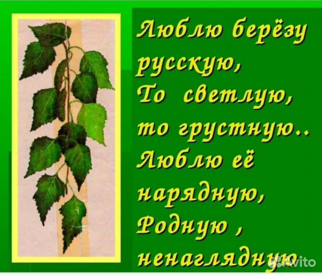 Дракоша