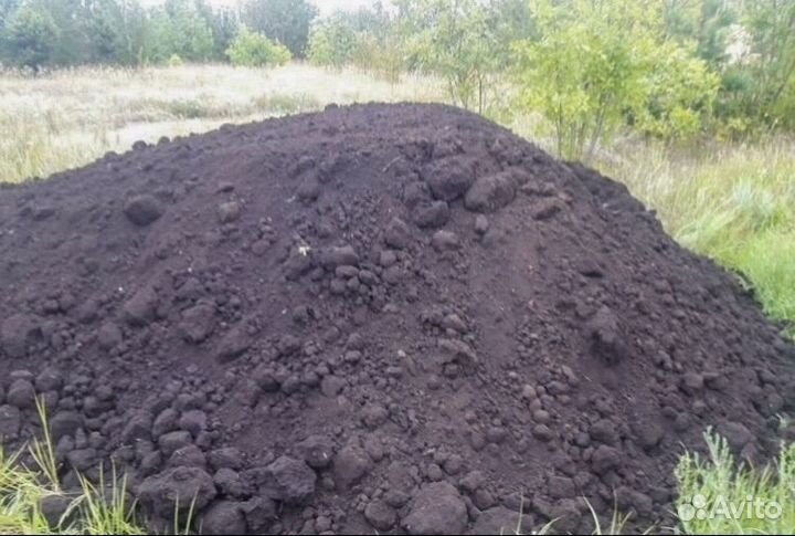 Плодородный чернозем