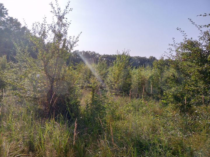 Участок 2,3 га (СНТ, ДНП)