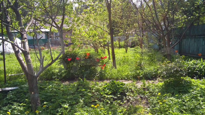 Дом 20 м² на участке 7,5 сот.