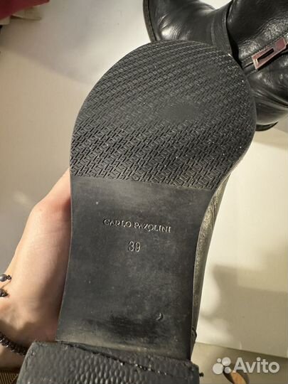 Ботинки Carlo pazolini