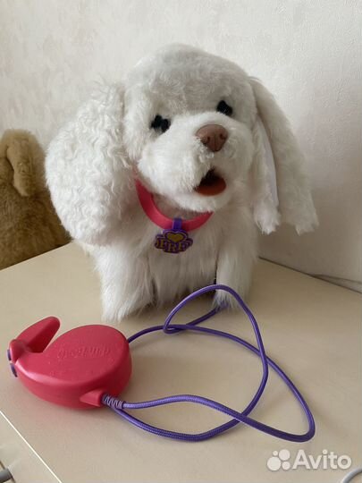 Интерактивная собака на поводке