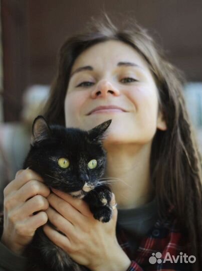 Котоняня, зооняня, кэтситтер, передержка