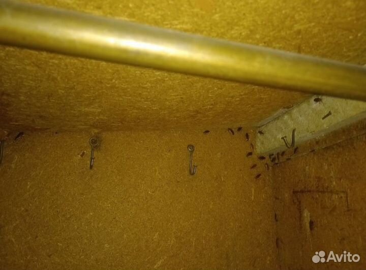 Дезинфекция.Уничтожение тараканов,клопов.Гарантия