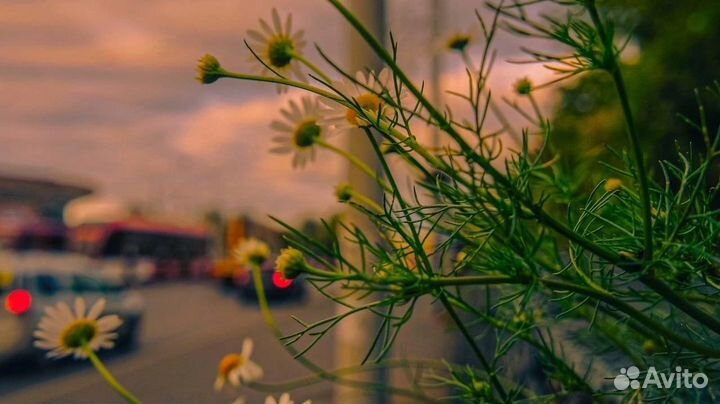 Объектив Индустар 50-2 50мм f/3,5-5,6