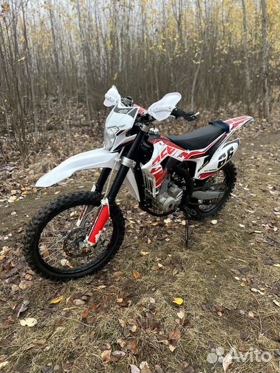 BSE Z5