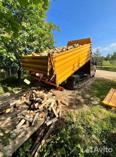 Дрова березовые