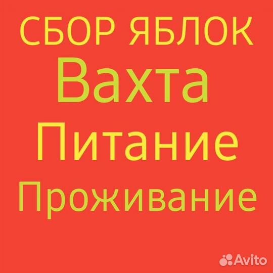 Разнорабочий вахта
