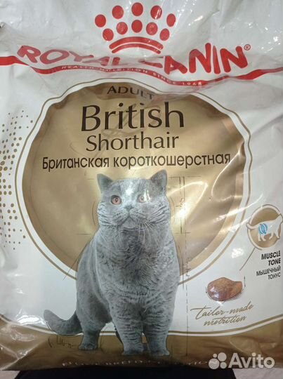 Роял Канин для британских кошек и котов 10кг