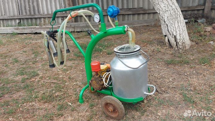 Доильный аппарат для коров