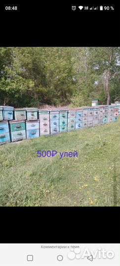 Продается пасека