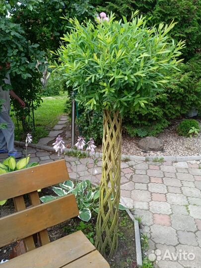 Тротуарная плитка от производителя