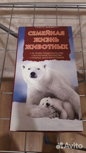 Видеокассеты