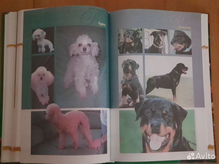 Книга по уходу за собаками