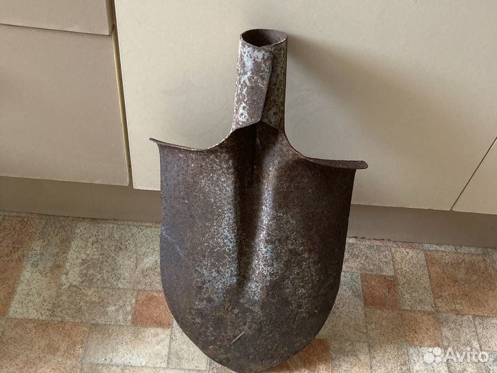 Лотата штыковая