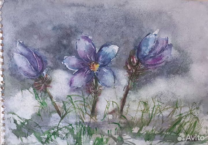 Картины акварелью: 
