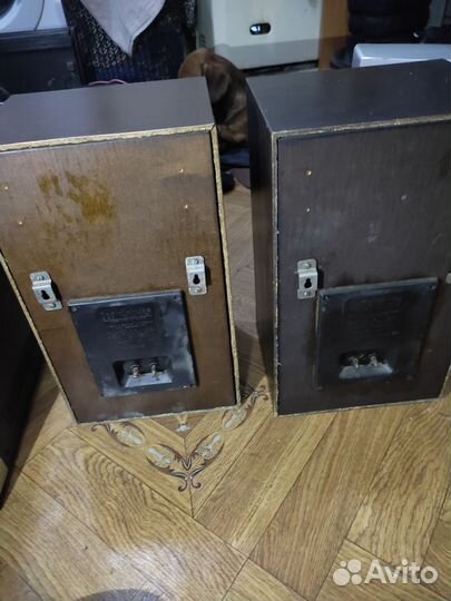 Колонки радиотехника s 30