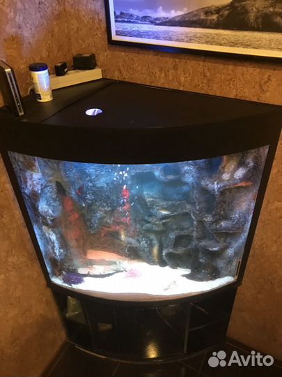 Аквариум