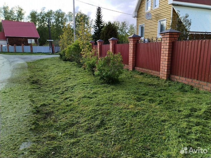 Покос травы триммером