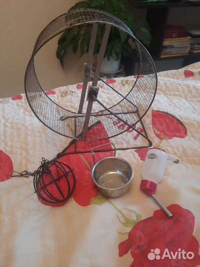 Товары для животных