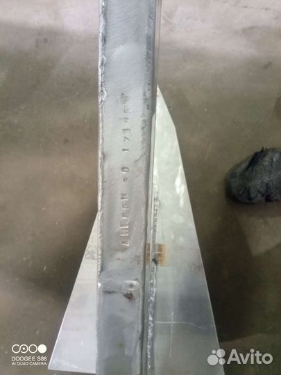 Якорь болотный зуб Зейзы