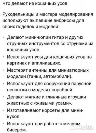 Усы кошачьи