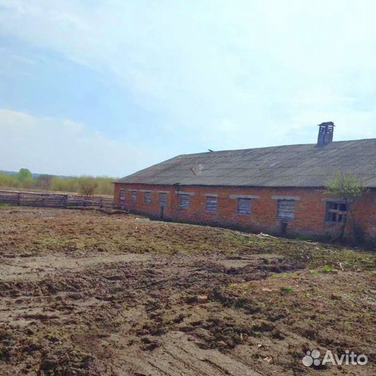 Продам животноводческую ферму