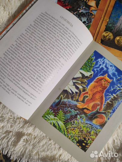 Книги Коты-воители