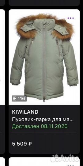 Парка пуховик