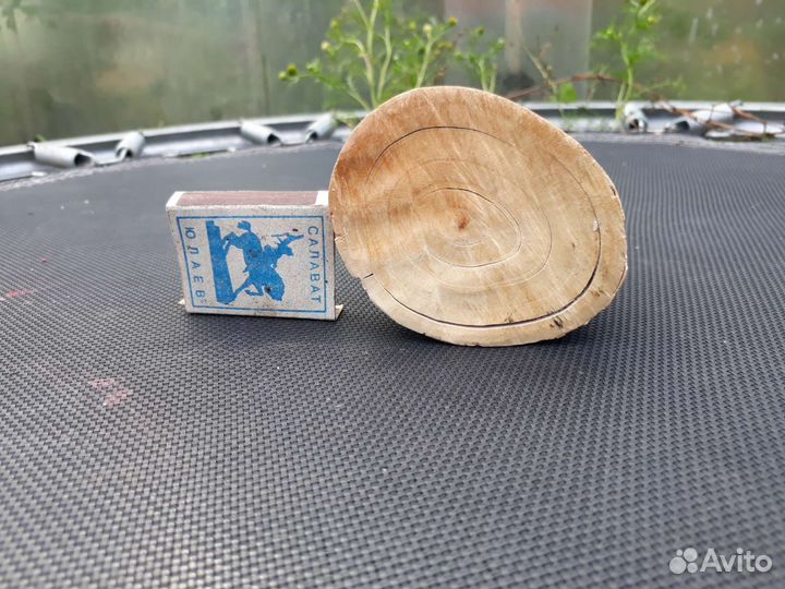 Бивень мамонта (часть)