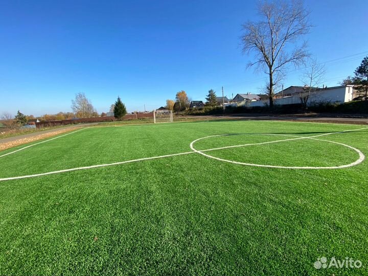 Трава в рулонах, газон