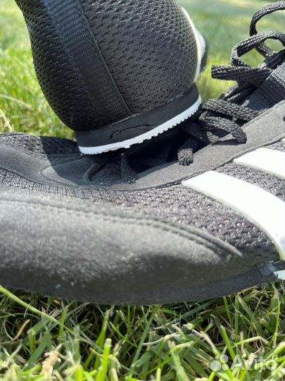 Боксерки adidas box hog 2